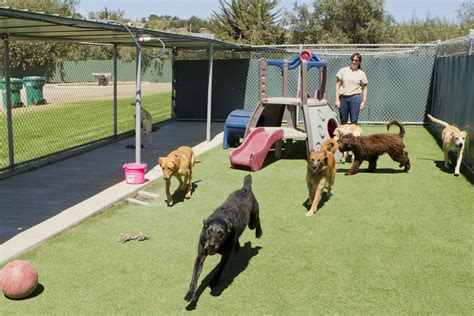 dog boarding costa mesa|THE BEST 10 Pet Boarding in COSTA MESA, CA